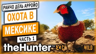 theHunter Call of the Wild #1 🦃 - ОХОТА НА ФАЗАНОВ С СОБАКОЙ - Охота в Пустыне (2021)