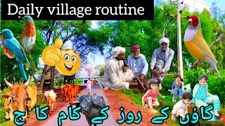 Daily village routine |?|گاؤں کے صبح کے کام کا جmukhrapunjabda@sitarayaseensana®√