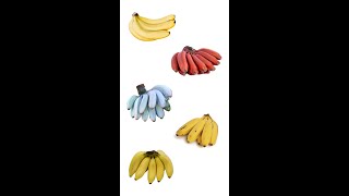 5 Types Of Bananas Types Of Bananas Some Popular Types Of Bananas