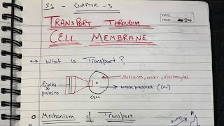Famous Transport through cell membrane Ch3 Sec1 of medical physiology #cell #transportation #pump  Net Worth