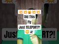 Every time I try to catch it… it disappears😳Is this fly teleporting or just tofast?!#housefly#shorts