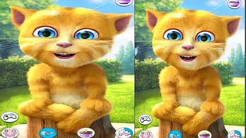 Video 8118731: talking tom ginger cat, talking ginger funny cat