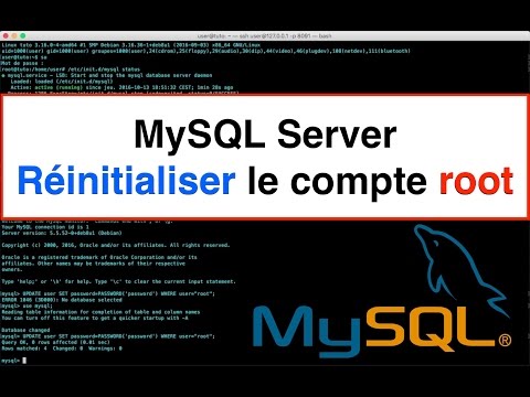 Tutoriel MySQL Server Réinitialiser le compte root