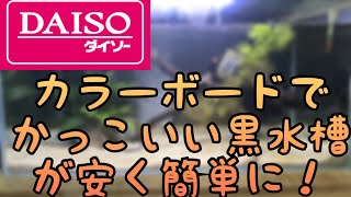 【アクアリウム】DAISO商品でバックスクリーンを作る！【初心者】