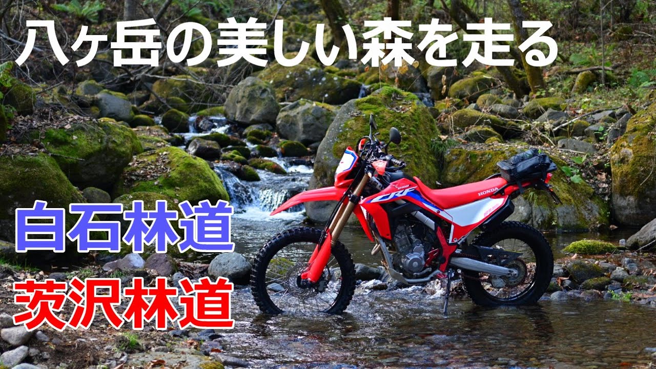 【CRF250L】綺麗な森の八ヶ岳林道【白石林道、茨沢林道】