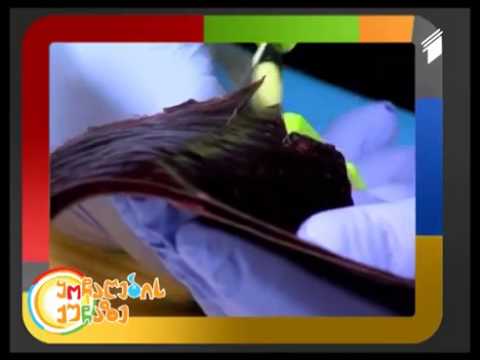 არტ სტუდია ყოჩაღების ქუჩაზე