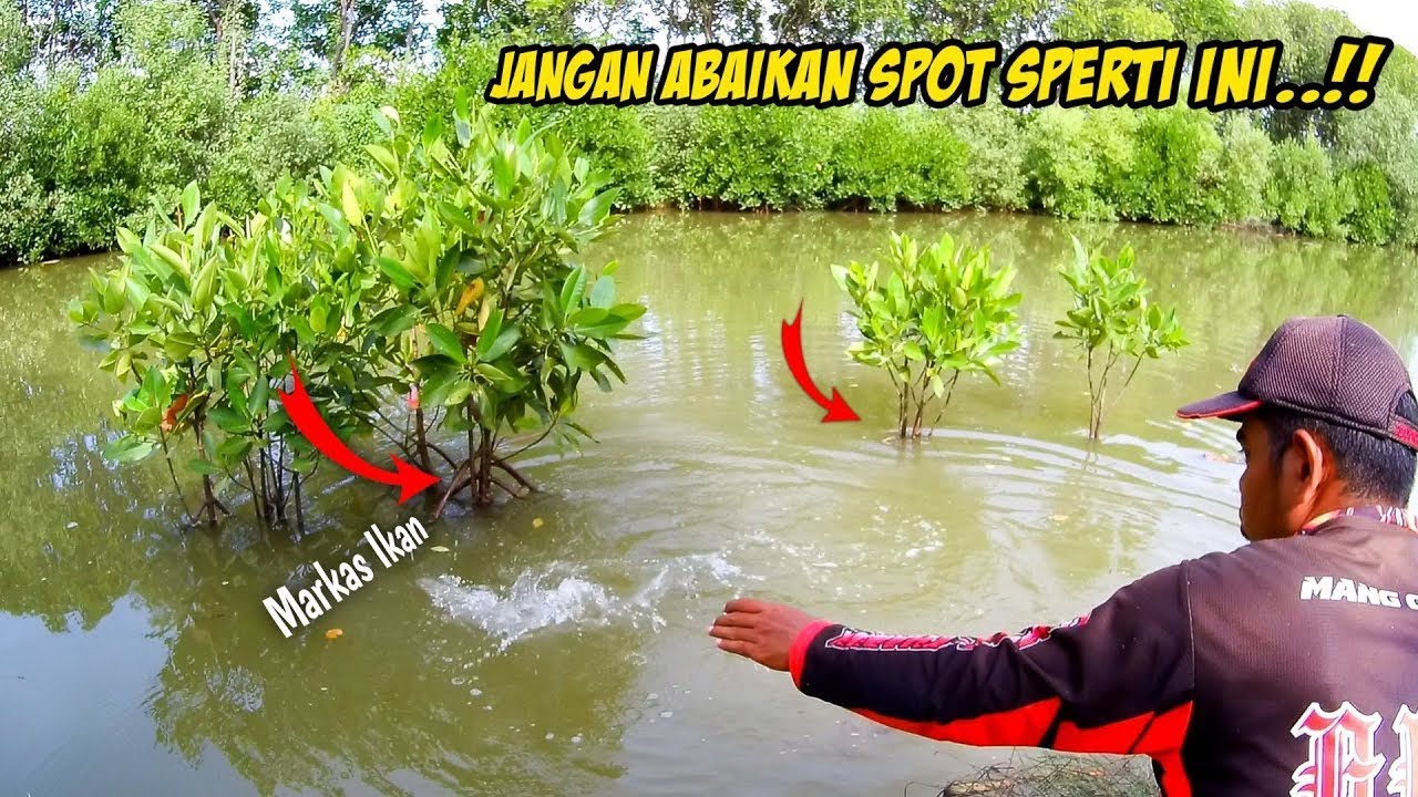 buset babon..😁 kalo tau dari kemaren langsung mancing di sini aja !