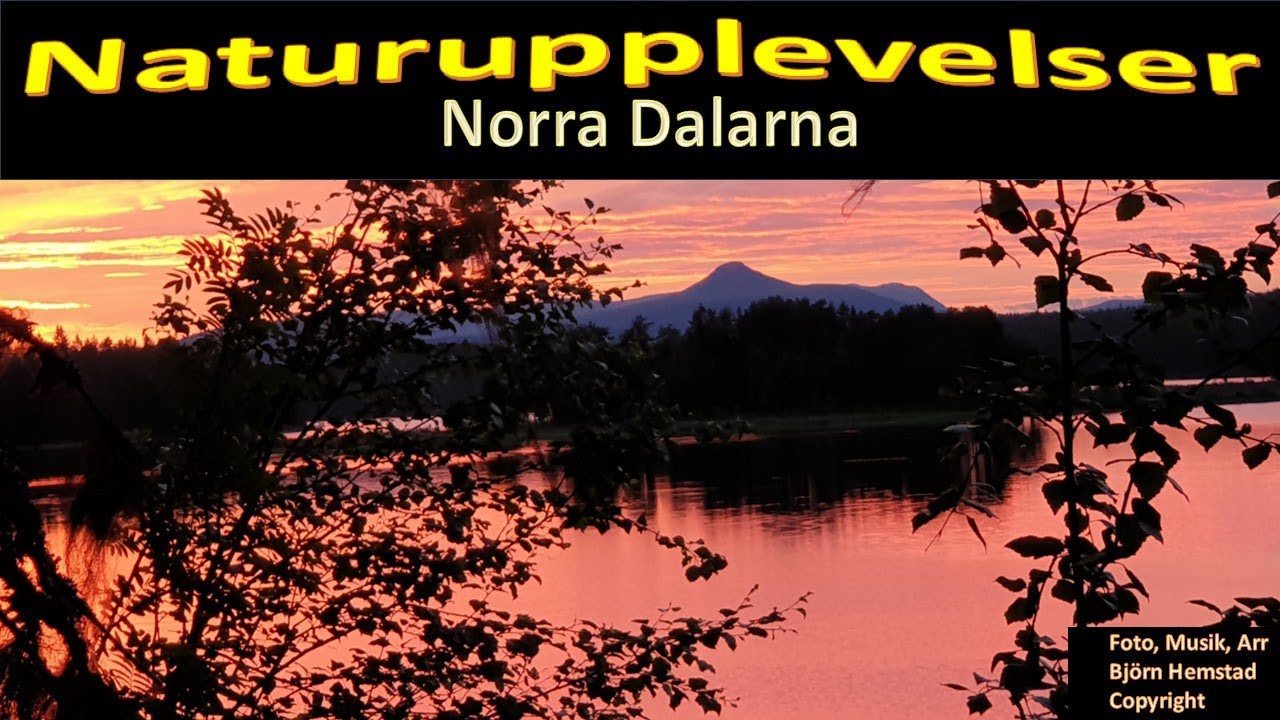 Naturupplevelser i Norra Dalarna