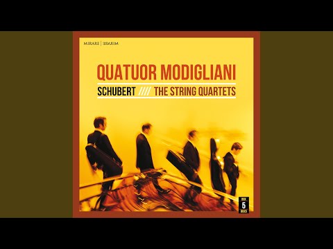String quartet No. 1, D. 18: I. Andante - Presto vivace