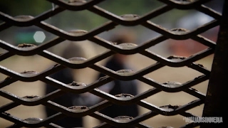 Famous Sugar Creek Mud Bog Wealth