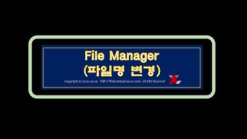 [Excel VBA] File Manager 파일명 변경