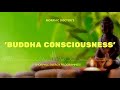 BUDDHA CONSCIOUSNESS (MORPHIC FIELD)