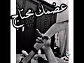 حالات واتس حمو الطيخا 2022