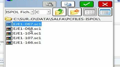 Export Import Vial Survce