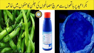 DIYؔ | Remove Chili Burn From Hands | Spice burn solution | Chili burn | Home Remedy