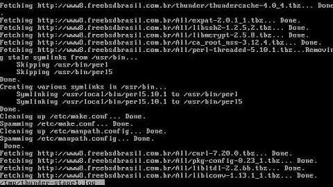 [VIDEO 4] easyThunder: Instalação Facil do Thunder Cache Professional no FreeBSD