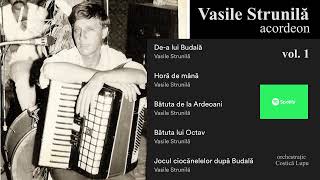 Video thumbnail of "Vasile Strunila  Acordeon volumul 1"