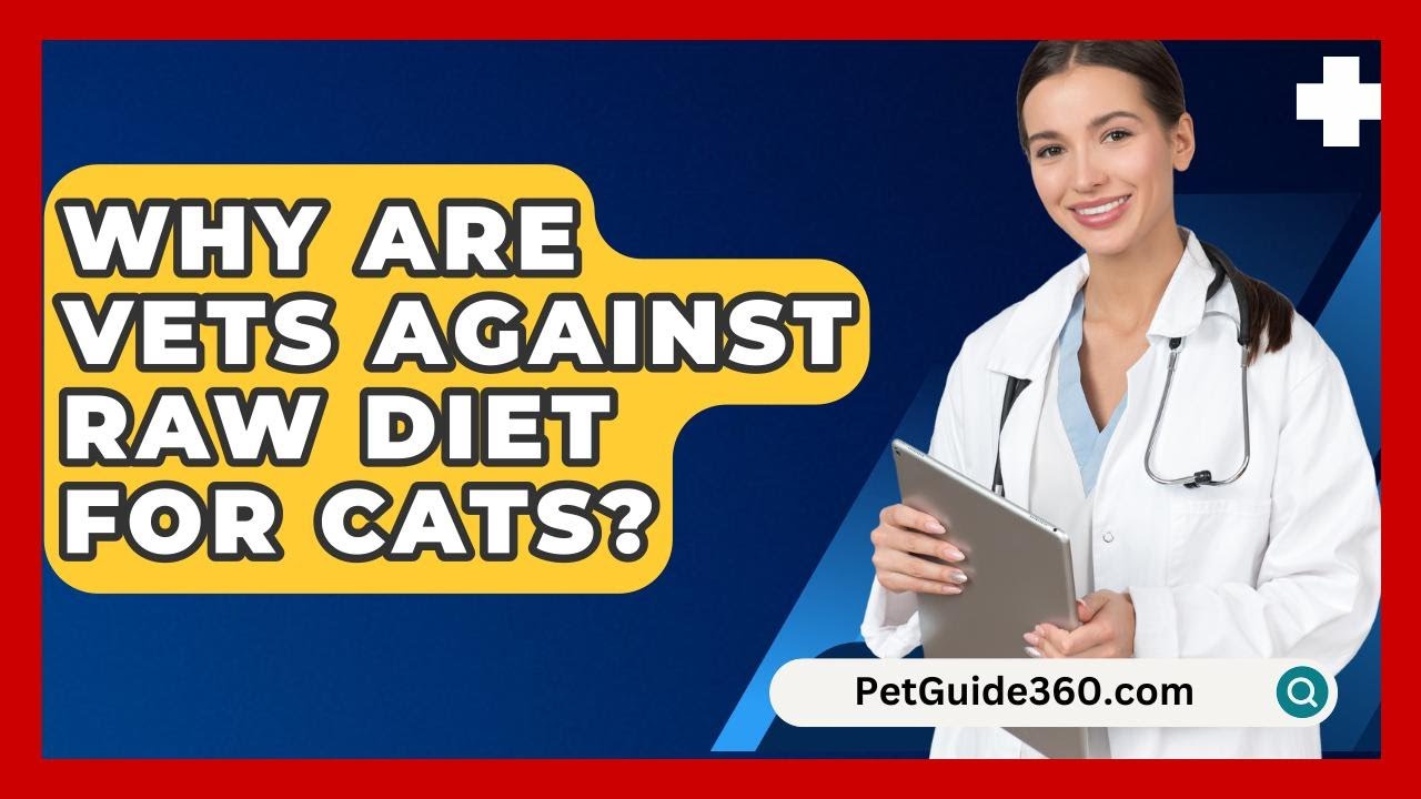 Why Are Vets Against Raw Diet For Cats PetGuide360 YouTube why-are-vets-against-raw-diet-for-cats-petguide360-youtube
