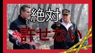 警察官ゆりのアメリカ生活の配信のサムネイル画像