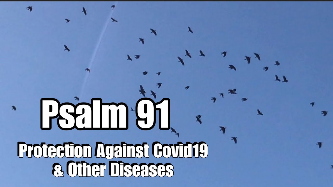 Psalm 91 Bible Verses Protection Against Any Diseases Or Plagues YouTube
