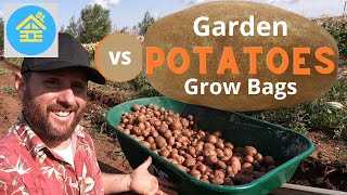 Garden Potatoes or Grow Bag Potatoes