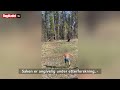 Risikerer saftig bot etter dette