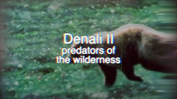 Pittsburgh Modular Documentary Films Presents the Lifeforms SV-1b Denali Trilogy Part 2