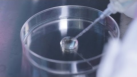 Mammalian Cell Cloning Procedure: Customizable Semi-Solid Cloning with ClonaCell™ FLEX Medium