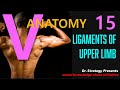 Summary Of Upper Limb Ligaments Vanatomy 15 With Their Attachements Summary Of Upper Limb Ligaments Vanatomy 15 With Their Attachements