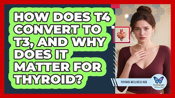 How Does T4 Convert To T3, And Why Does It Matter For Thyroid? - Thyroid Wellness Hub