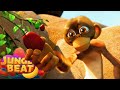 Fruit for Friends | Walk this Way | Jungle Beat: Story Time | Kids Cartoon 2024