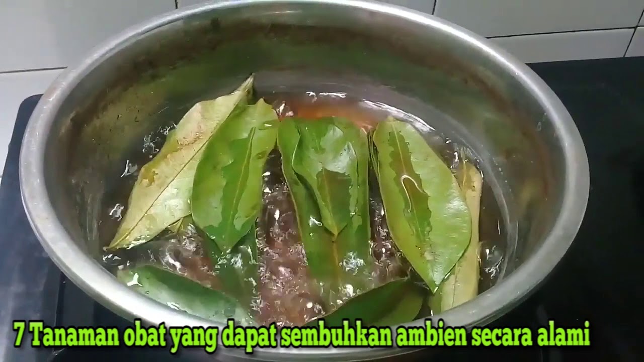 7 Tanaman Obat Yang Dapat Sembuhkan Ambien Wasir Secara Alami