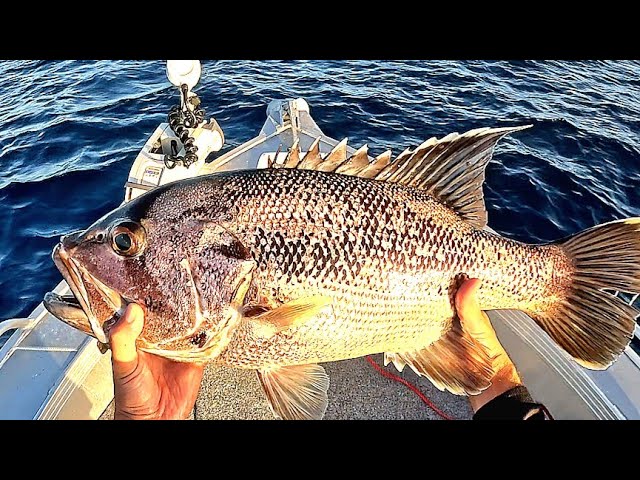 Pesca del Calamar en Asturias, Lugares