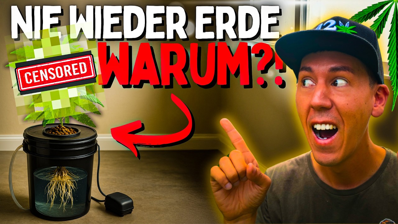 Nie wieder Erde!? 😱 30% SCHNELLER und riesige Ernte – Sogar für Anfänger? Hydro DWC Pott Planter
