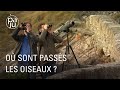 Lionel et laurent rpertorient les oiseaux et tentent de sauver leur habitat