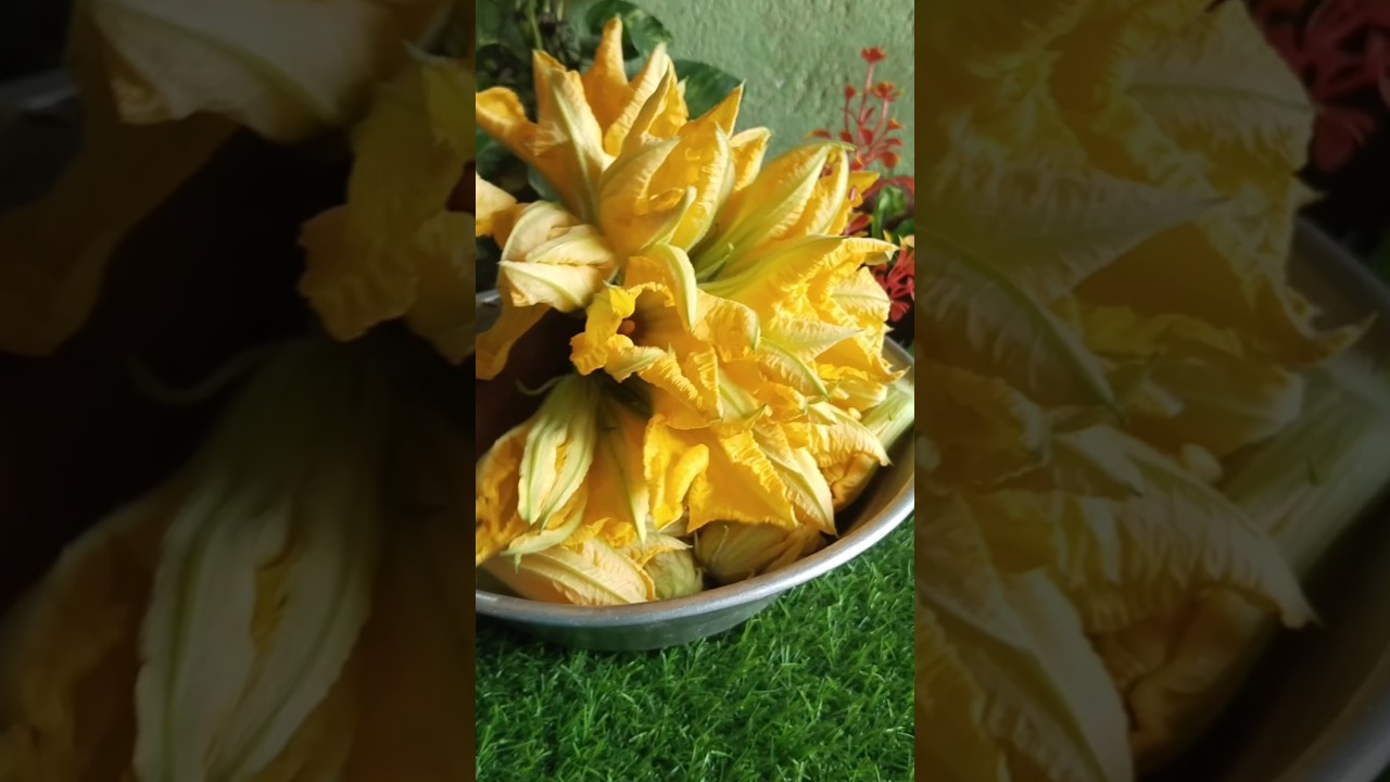 pumpkin flower Recipe /କଖାଋ ଫୁଲ ପକୋଡା #pumpkin #food #chips #flowers #lays memo
