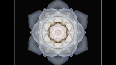 Raffaele Serra - Some Flowers