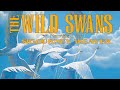 The Wild Swans (Remastered) | Official Trailer