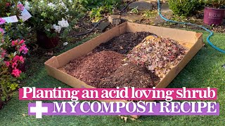HOW TO PLANT A SHRUB
