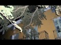 Miniature de la vidéo de la chanson Les Rendez-Vous D'automne