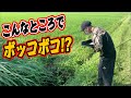 吉田撃がめっちゃ釣れる場所見つけました