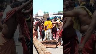 To Pata Pitambari Besa #shorts #jagannathpuri #rathyatra #preparation