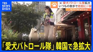 警察官「すごく頼もしいです」愛犬との散歩×街の見回り活動「愛犬パトロール隊」韓国で急拡大｜TBS NEWS DIG