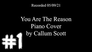You Are The Reason - Piano Cover [Forgotten Series #1]