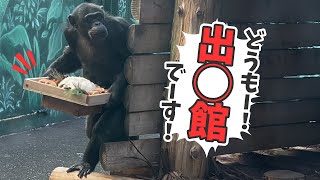 記念メダル　伊豆シャボテン公園　チンパンジー 記念メダル 伊豆シャボテン公園 チンパンジー