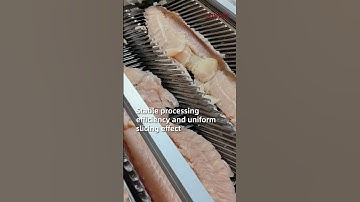 Pangasius fish slicer for factory