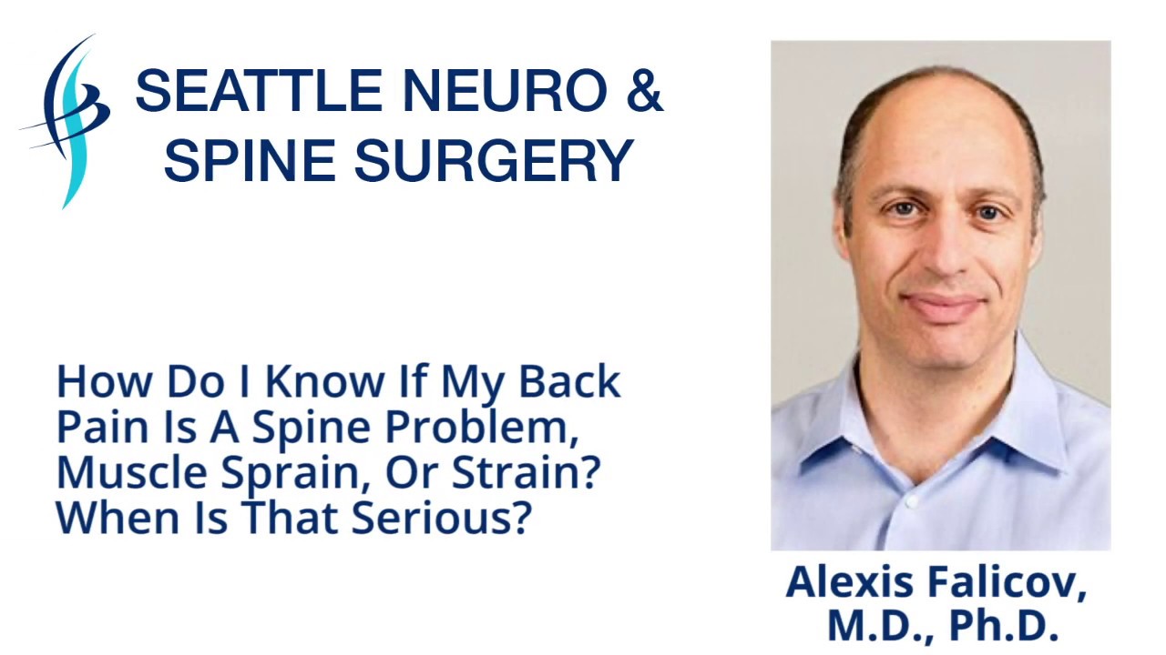 How Do I Know If My Back Pain Is A Spine Problem Muscle Sprain Or