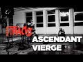 Ascendant vierge : Castafiore Gabber | Tracks | ARTE