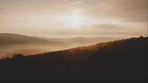 تلاوة عذبة بصوت القاري رائد مفكر