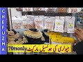 Wholesale Jewellery Market In Karachi/Bolton Market Karachi/Jewelry/Clip Hair band/Chef Uzma